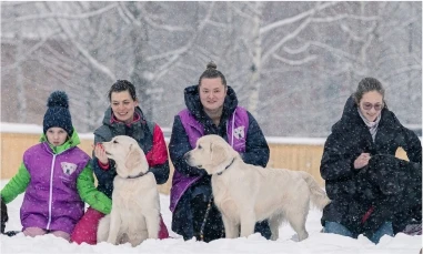 INARI - Производственная компания | INARI