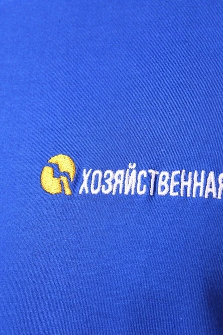 Футболка Премиум унисекс (Modern), однотонная "Economic base"#2