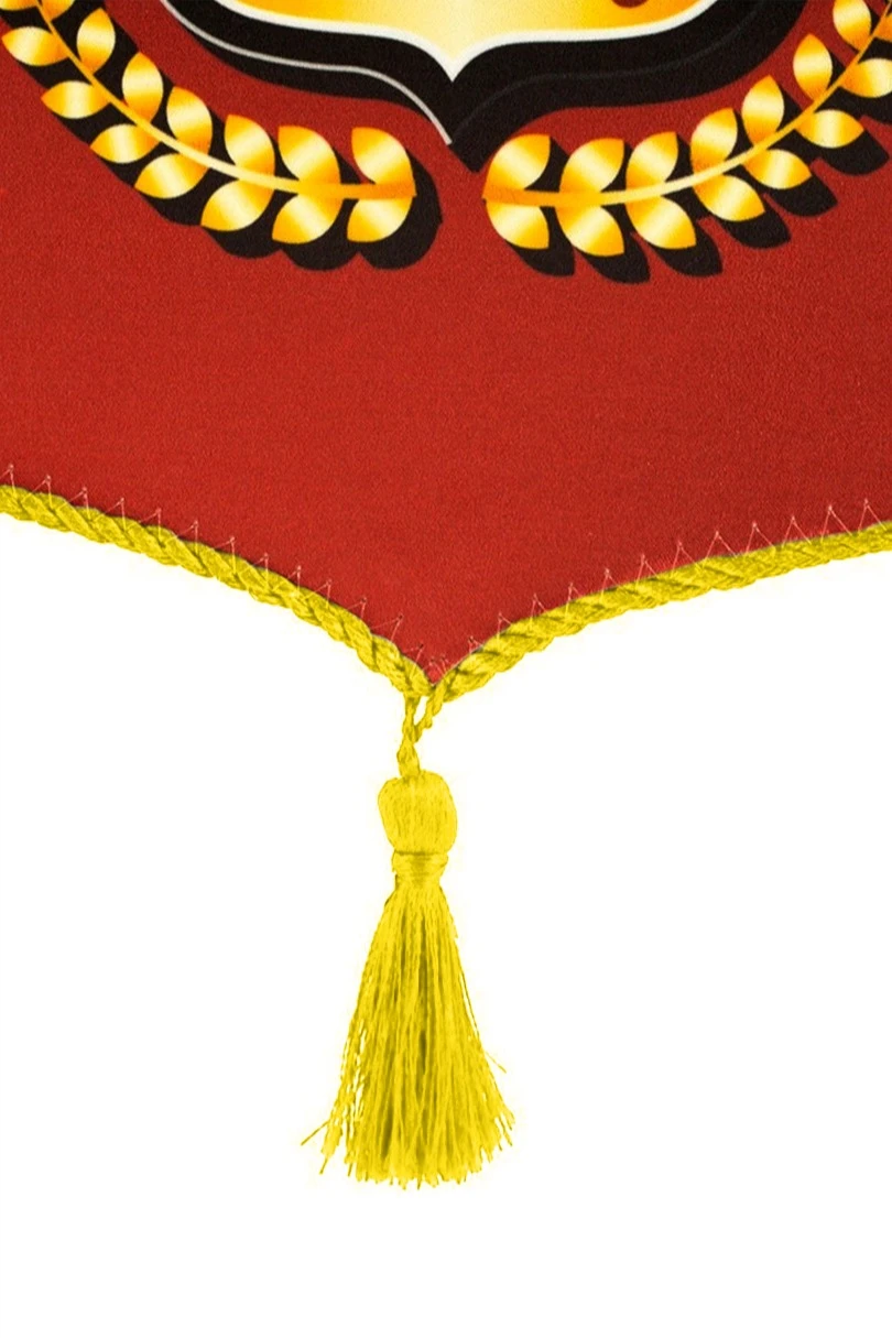 Вымпел Герб печатный со шнуром, декоративная кисть, 20х30 см#2