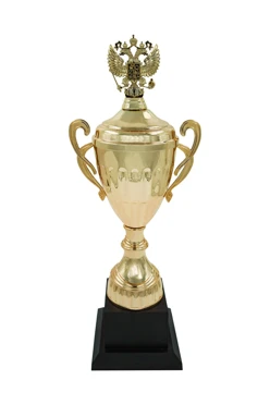 Купить кубок ИК0085 Купить кубок ИК0085