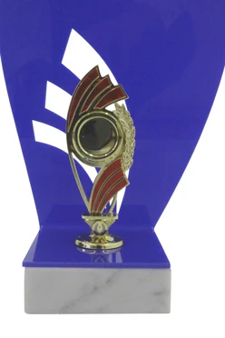 Приз 12076-GR (вкладыш 2,5 или 5 см) c акриловым фоном#2