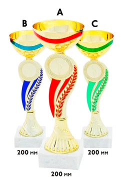 Купить кубок ИК0004 Купить кубок ИК0004