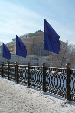 Купить Флаг расцвечивания 90х135 см синий