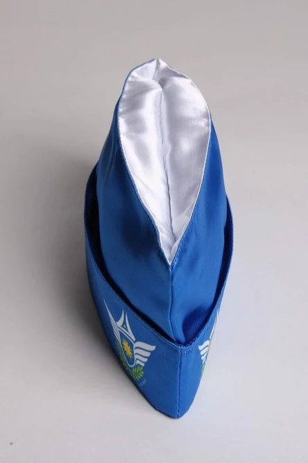 Пилотка Полет фигурная с полной запечаткой "Wings of Knowledge"#1