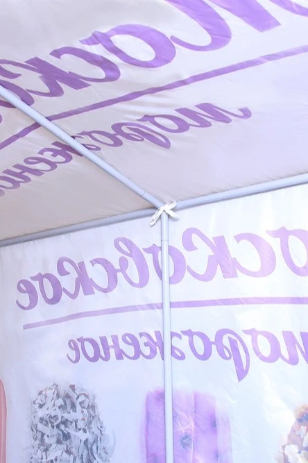 Палатка для промоакции и торговли (без козырька) 2х3 м "Moscow ice-cream"#3