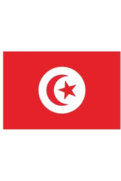 Купить флажок Туниса