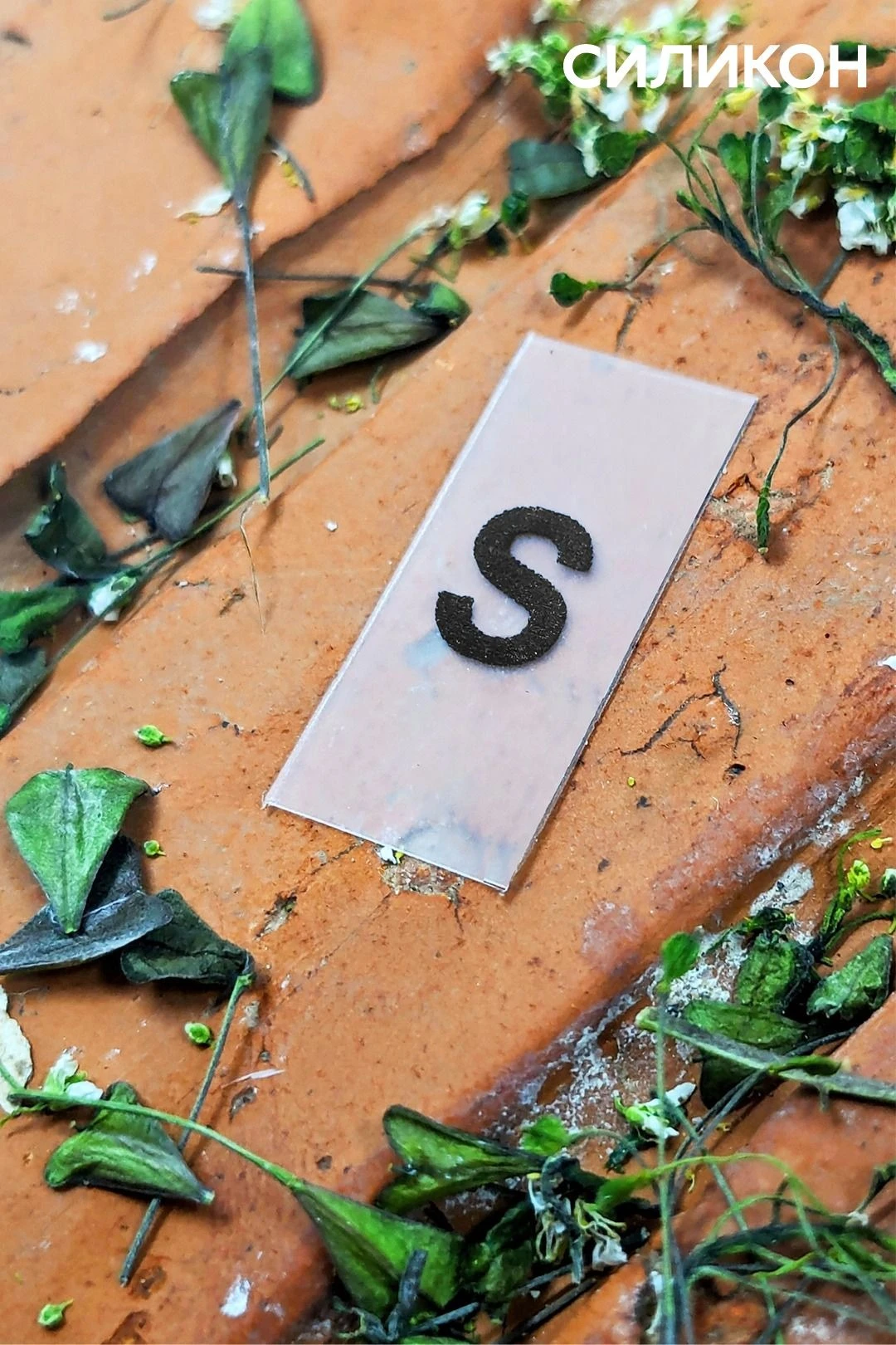 Бирка с термотрансферной печатью 1х2 см, печать с одной стороны#4