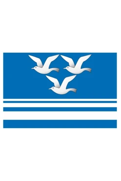 Купить флаг Чистоозерного района