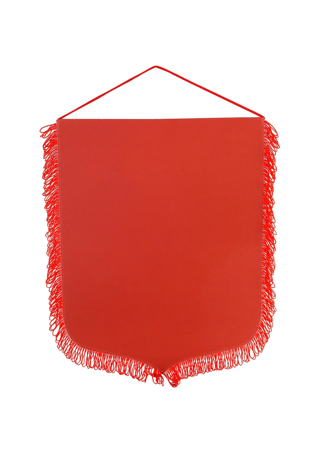 Вымпел Герб печатный с бахромой, 30х40 см#1