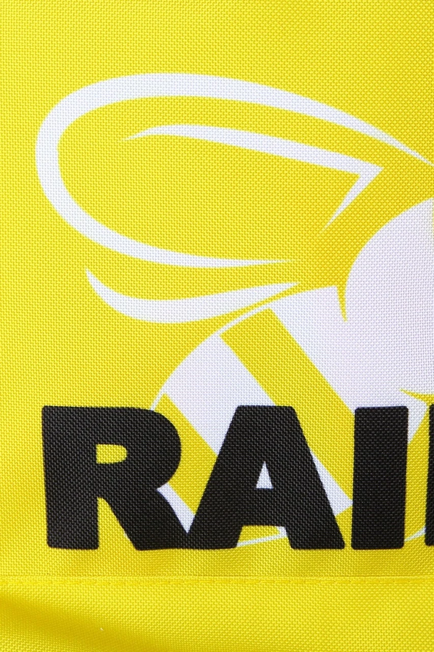 Купить рюкзак Кэрри "Raid"