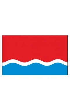 Купить флажок Амурской области