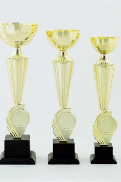 Кубок ИК0029#1 Кубок ИК0029#1