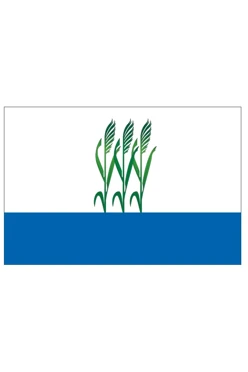 Купить флаг Камышина