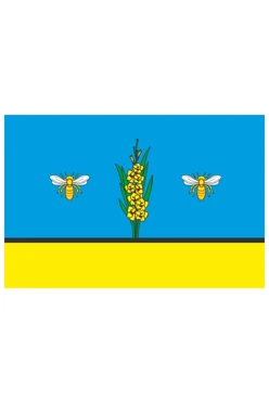 Купить флаг Загорянского городского поселения