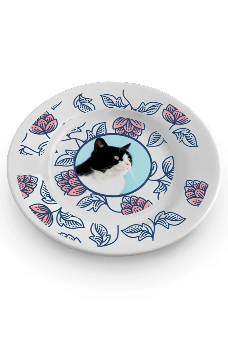 Купить тарелку с принтом на ободе "Cat's plate"