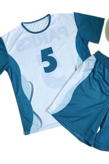 Волейбольная форма Хэнди мужская с полной запечаткой "PARKS 5"#8