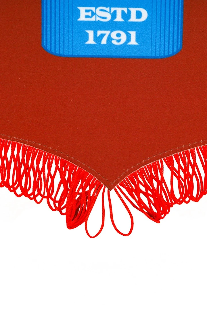 Вымпел Герб печатный с бахромой, 30х40 см#2