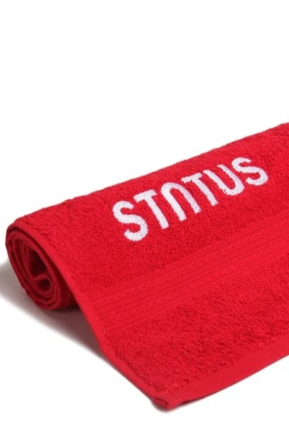 Купить полотенце махровое 40х70 см с вышивкой "Status"