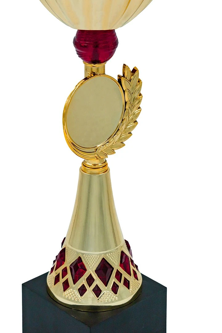 Кубок ИК0063#3