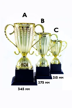 Купить кубок ИК0002 Купить кубок ИК0002