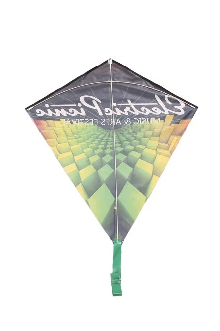 Купить воздушного змея Клоун, с полной запечаткой "Electric Picnic"