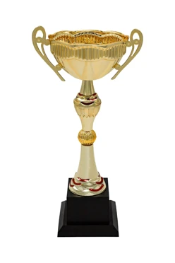 Кубок ИК0075#1 Кубок ИК0075#1