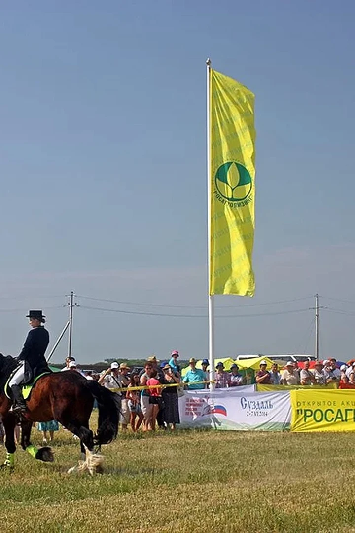 Аренда флагштока из стекловолокна с закрытым механизмом 9 м#2