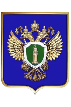 Купить Герб Генеральная прокуратура РФ размер 42х50 см барельеф металлонапыление рамка под золото