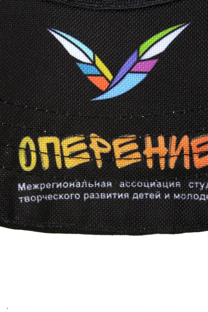 Бейсболка Стандарт взрослая с полной запечаткой (полиэстер) "Plumage"#6 Бейсболка Стандарт взрослая с полной запечаткой (полиэстер) "Plumage"#6