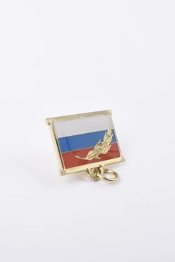Колодка флаг РФ золотая ветвь#1