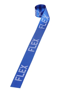 Купить ленту сатин ширина 2,5 см синюю, печать серебром с одной стороны