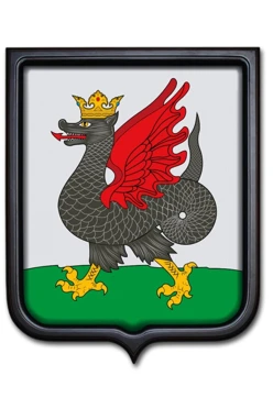 Купить Герб Казани 35х43 см печатный темная рамка