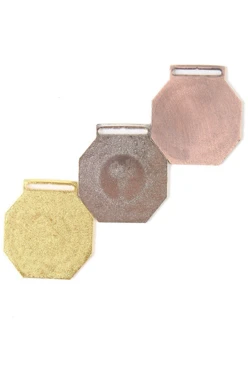 Медаль металлическая МК358 50мм с шильдом 25мм#2