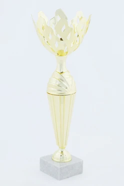 Кубок ИК0023#2 Кубок ИК0023#2