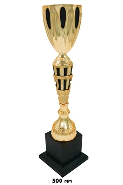 Купить кубок ИК0084 Купить кубок ИК0084