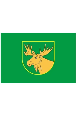 Купить флаг Славского городского округа