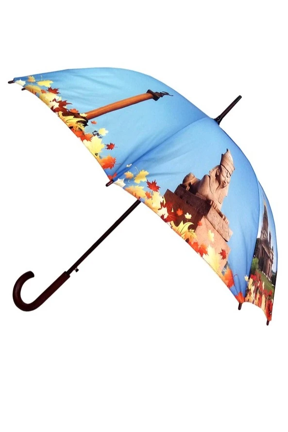 Зонт-трость Мэри с деревянной ручкой однослойный, с полной запечаткой (без совмещения) "Saint Petersburg"#3