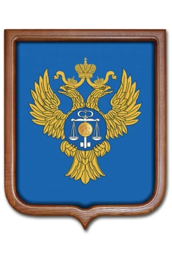 Купить Герб Казначейство РФ размер 53х61 см печатный рамка светлое дерево