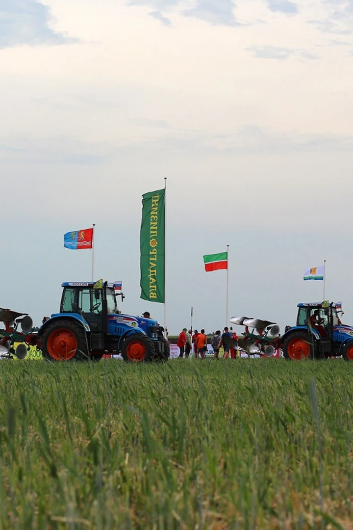 Аренда флагштока из стекловолокна с открытым механизмом 8 м#4