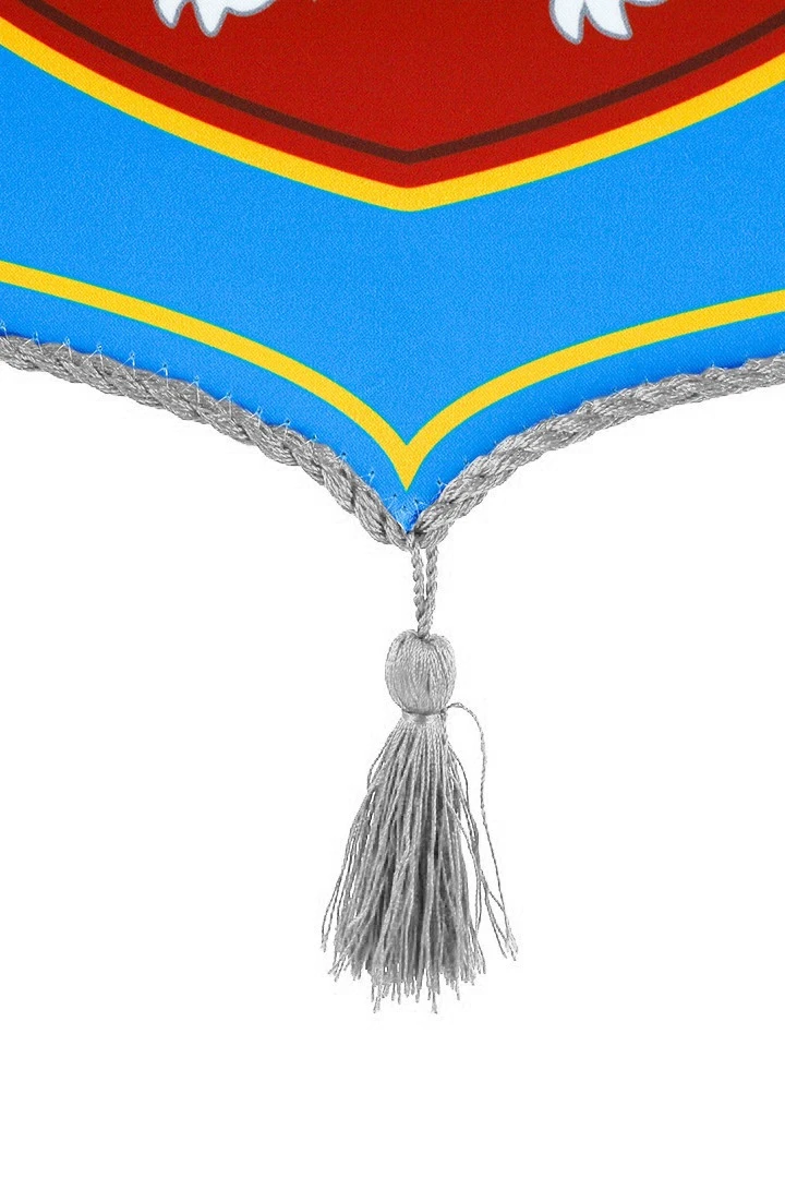 Вымпел Герб печатный со шнуром, декоративная кисть, 30х40 см#2