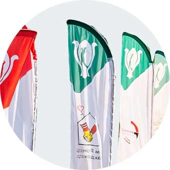 Виндеры Парус