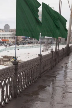 Купить Флаг расцвечивания 100х150 см темно-зеленый