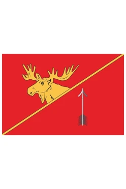 Купить флаг Гусевского городского округа