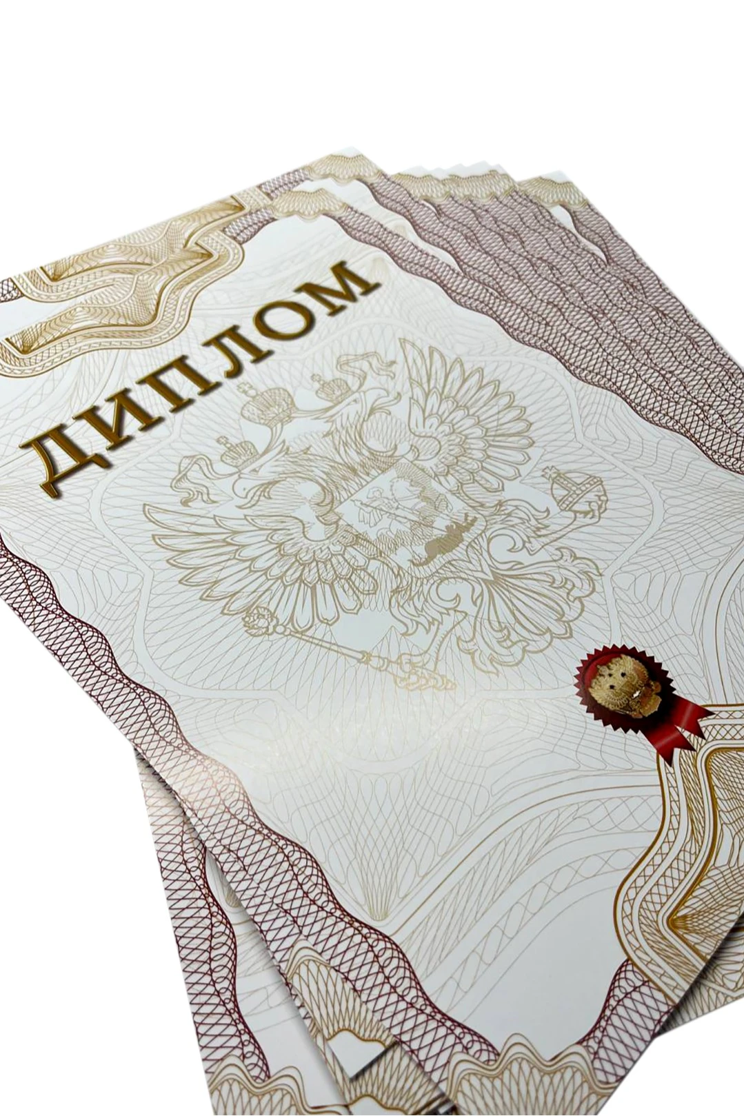 Купить диплом с готовым дизайном А4, рамка бордовая