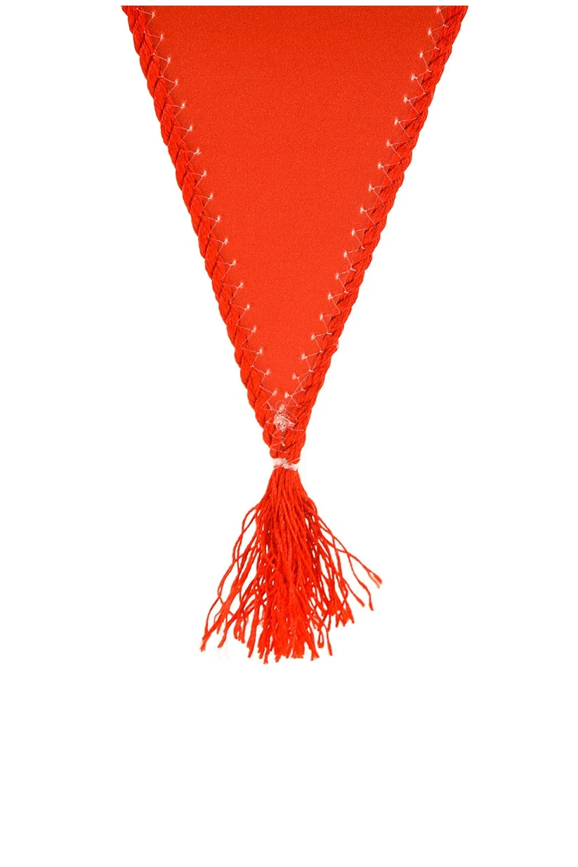 Вымпел Стрела печатный со шнуром, кисть из шнура, 15х22 см#1