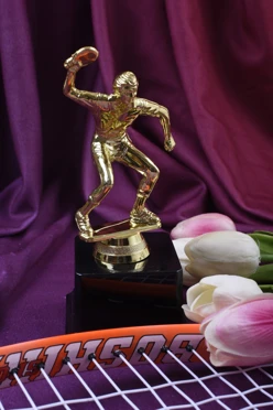 Приз Настольный теннис муж. 204-091-G#2