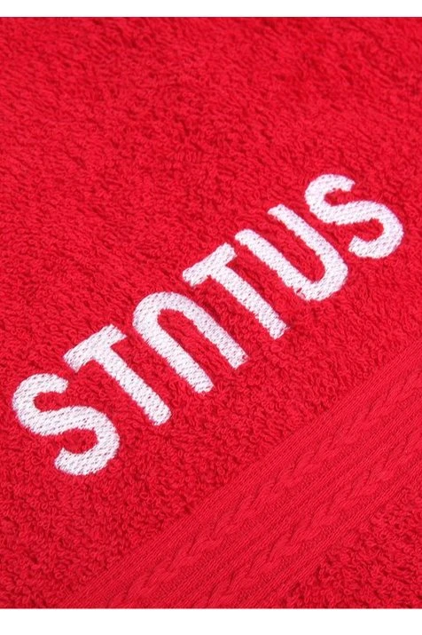 Полотенце махровое 40х70 см (Ituma), однотонное "Status"#2