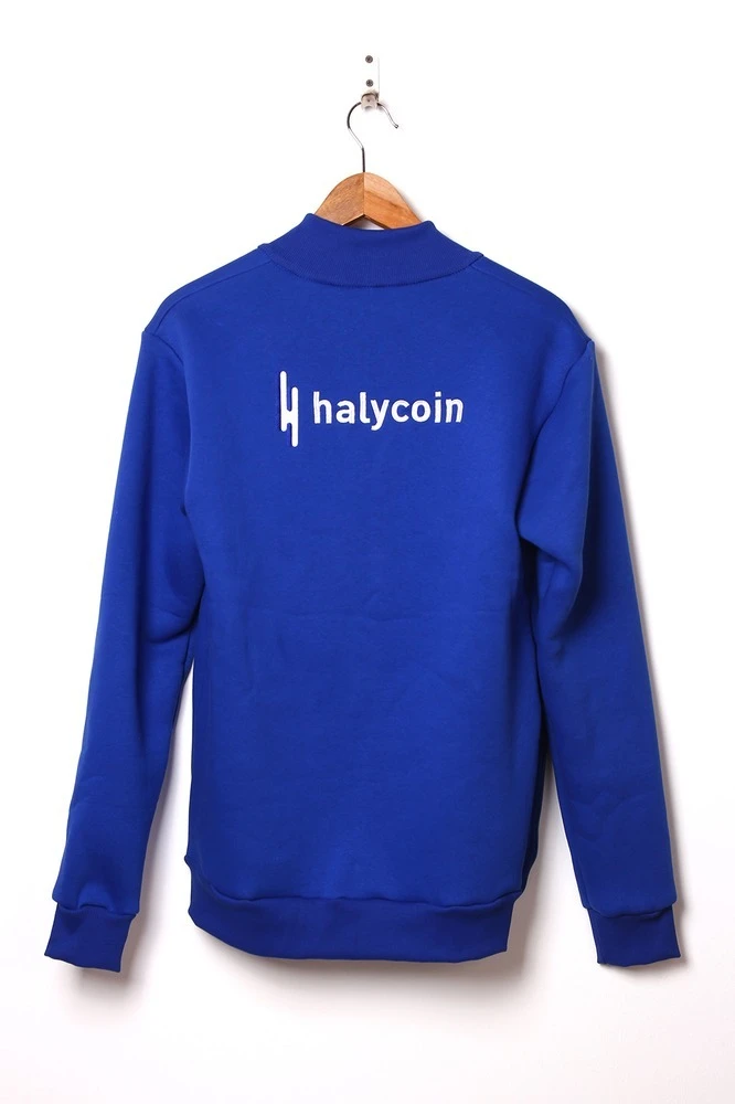 Толстовка Томас из футера унисекс, однотонная "Halycoin"#6