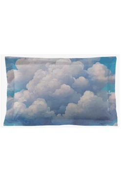 Подушка с бордюром 30х50 см, с принтом "Dreams like on a cloud"#1