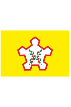 Купить флаг Чаплыгинского района